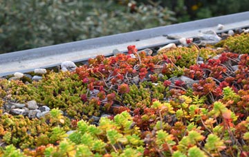 the cost of Gearraidh Na H Aibhne green roof installation
