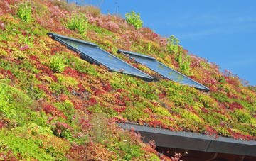 Gearraidh Na H Aibhne living roof systems